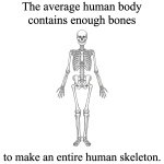 1780048806235.png