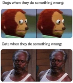 1780049366981.png