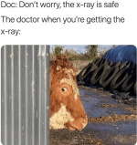 1780652308769.png