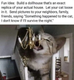 1781548146034.png