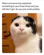 1781549008779.png