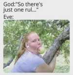 1781549602221.png