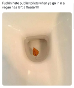 1786107831508.png