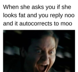 1786108798377.png