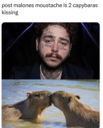 1786109359562.png