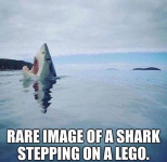 1786109629002.png