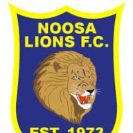 Noosa Lion