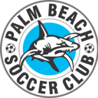 Palm Beach Sharks 1984