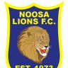 Noosa Lion