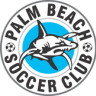 Palm Beach Sharks 1984