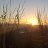 FLOY